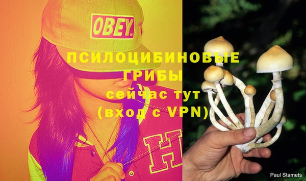 mdpv Баксан