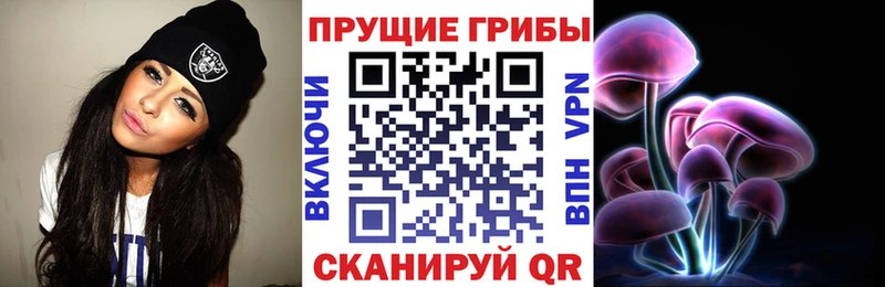 Галлюциногенные грибы Magic Shrooms  Купить  Венёв 